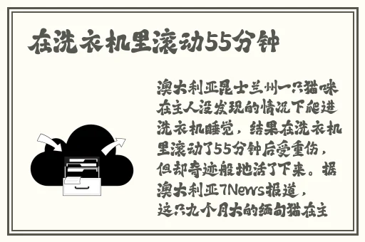 两人打扑克不盖被